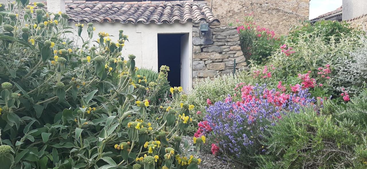 Maison Isivier Magrie Esterno foto