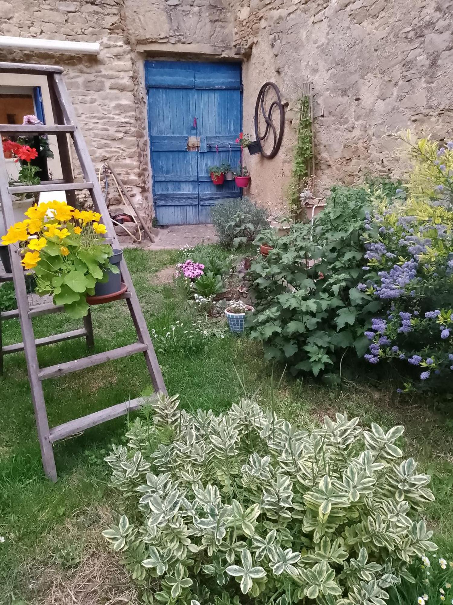 Maison Isivier Magrie Esterno foto